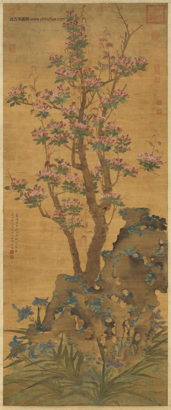 明_陈栝_海棠图