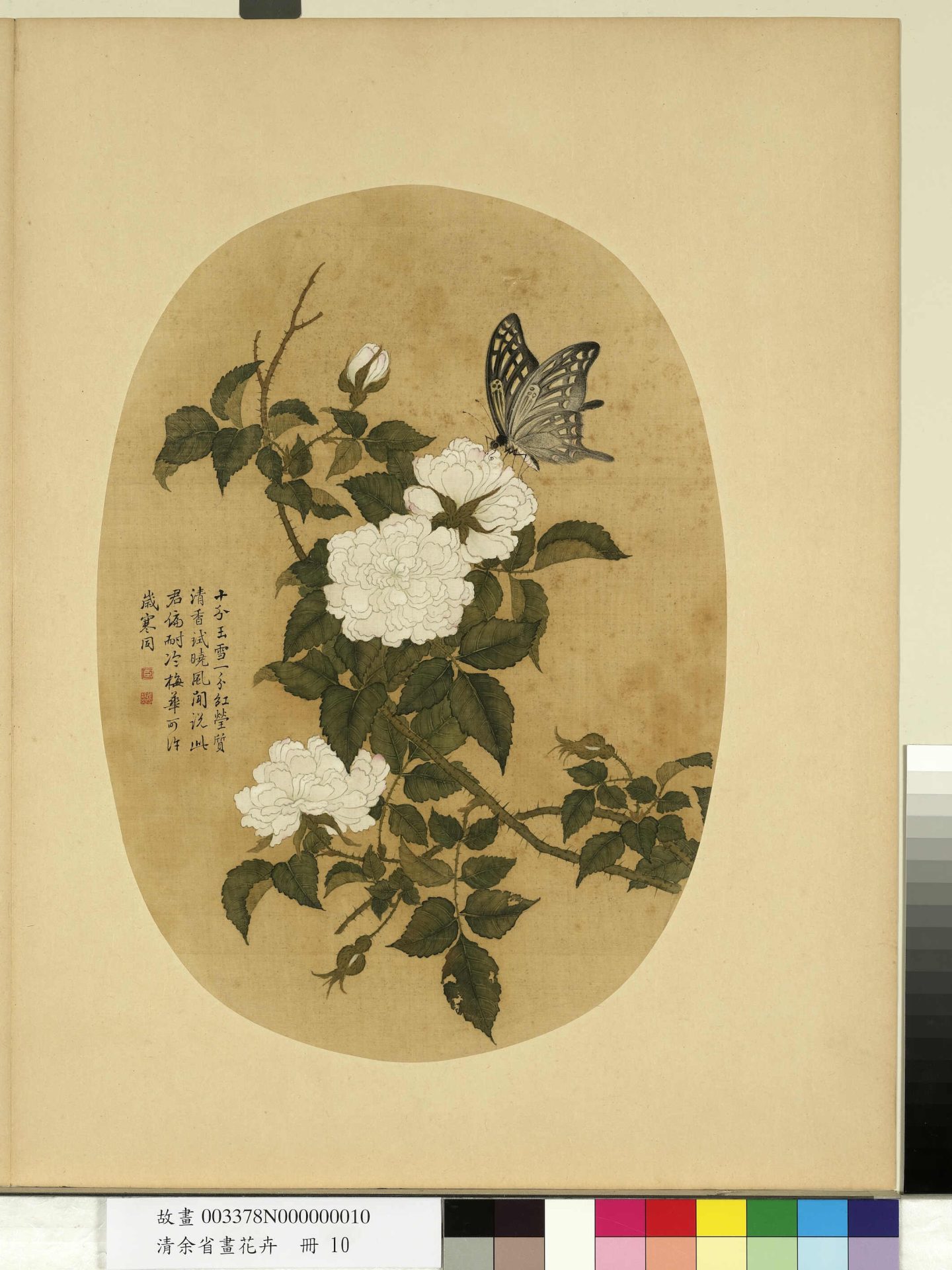 清_余省_花卉册_ (10) 清_余省_花卉册_ (10)