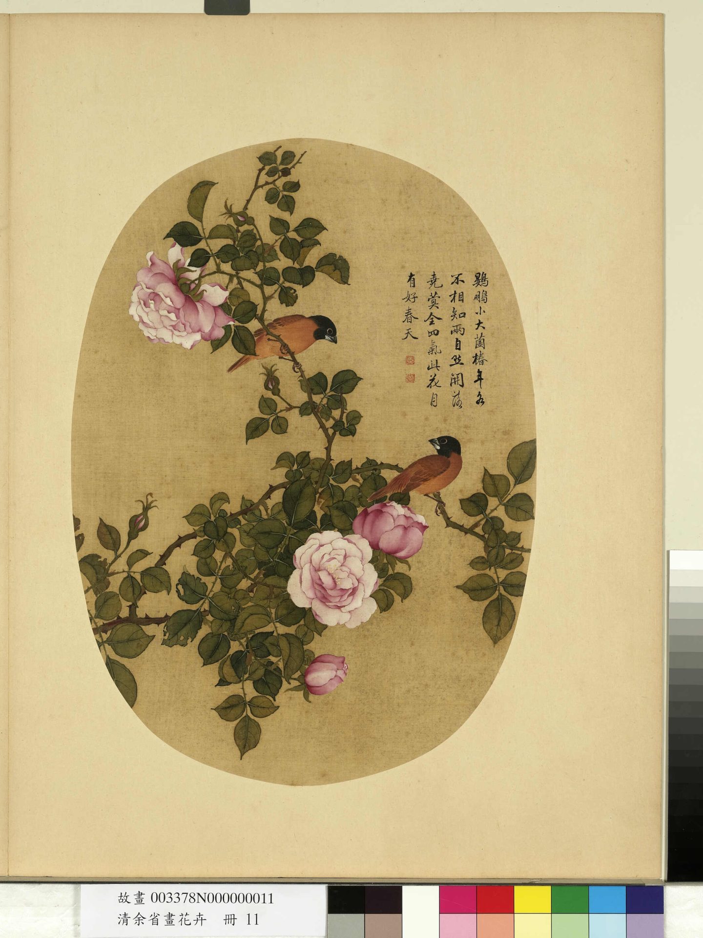 清_余省_花卉册_ (11) 清_余省_花卉册_ (11)