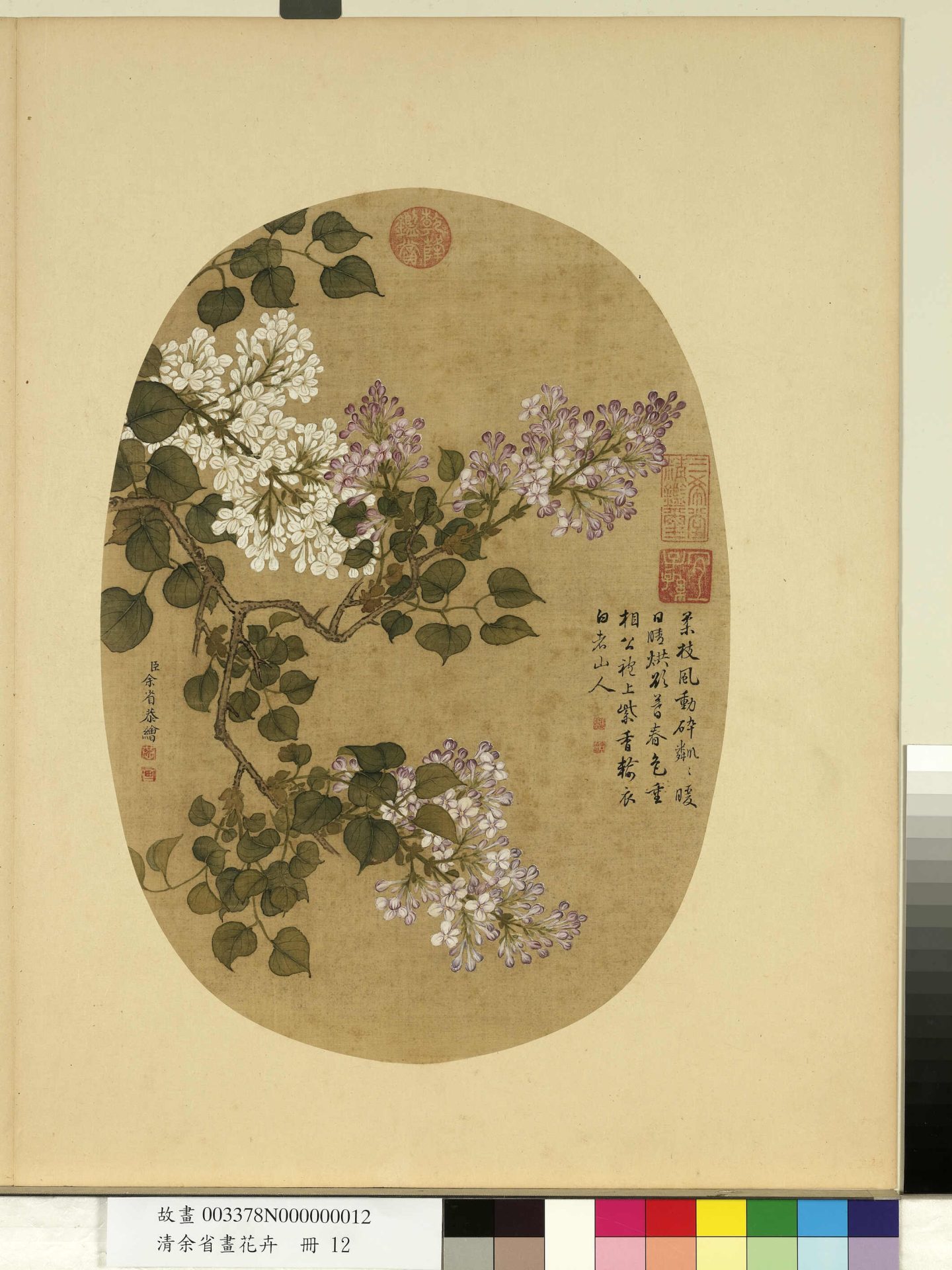 清_余省_花卉册_ (12) 清_余省_花卉册_ (12)