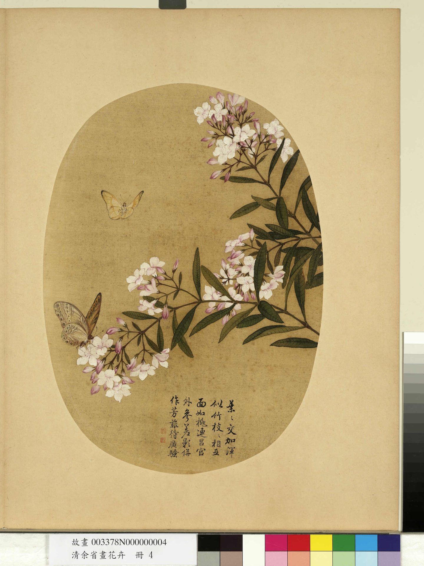 清_余省_花卉册_ (4) 清_余省_花卉册_ (4)