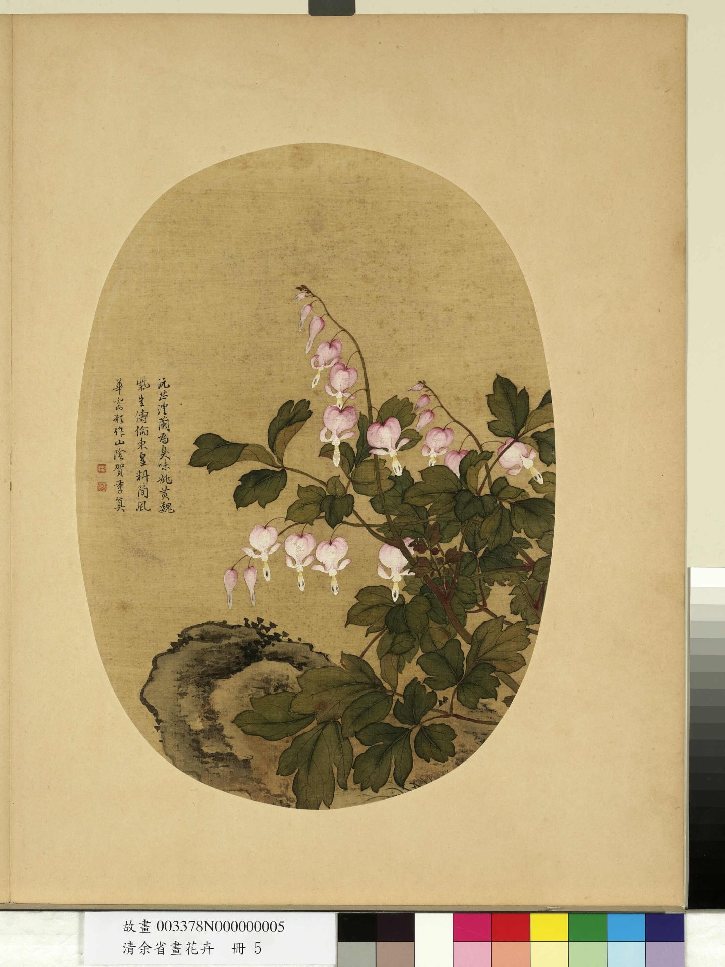 清_余省_花卉册_ (5) 清_余省_花卉册_ (5)