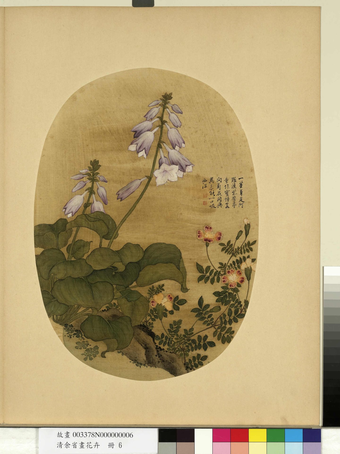 清_余省_花卉册_ (6) 清_余省_花卉册_ (6)