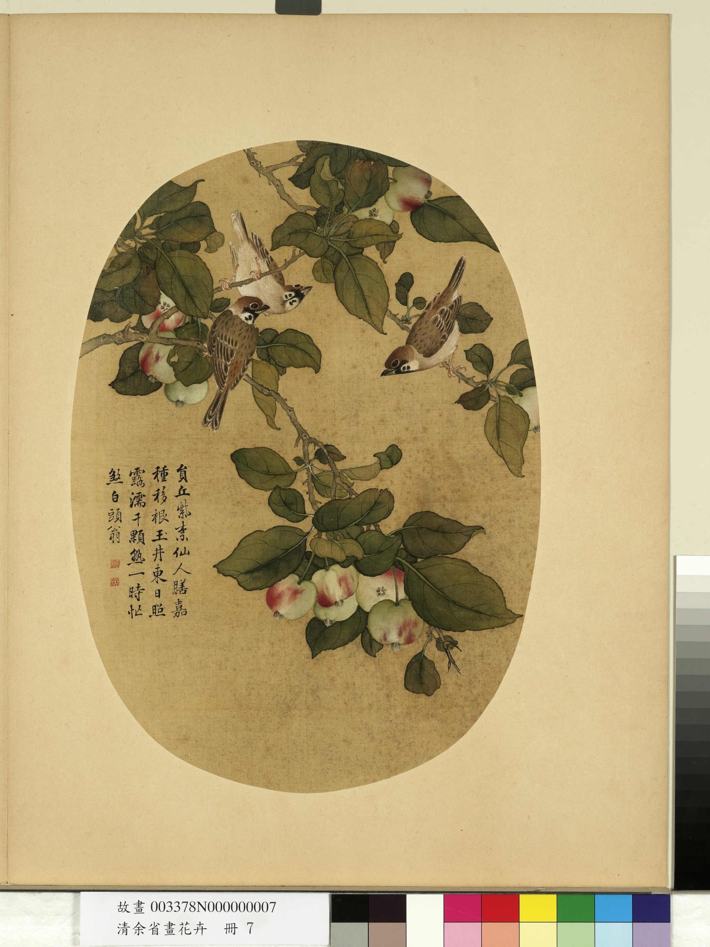 清_余省_花卉册_ (7) 清_余省_花卉册_ (7)