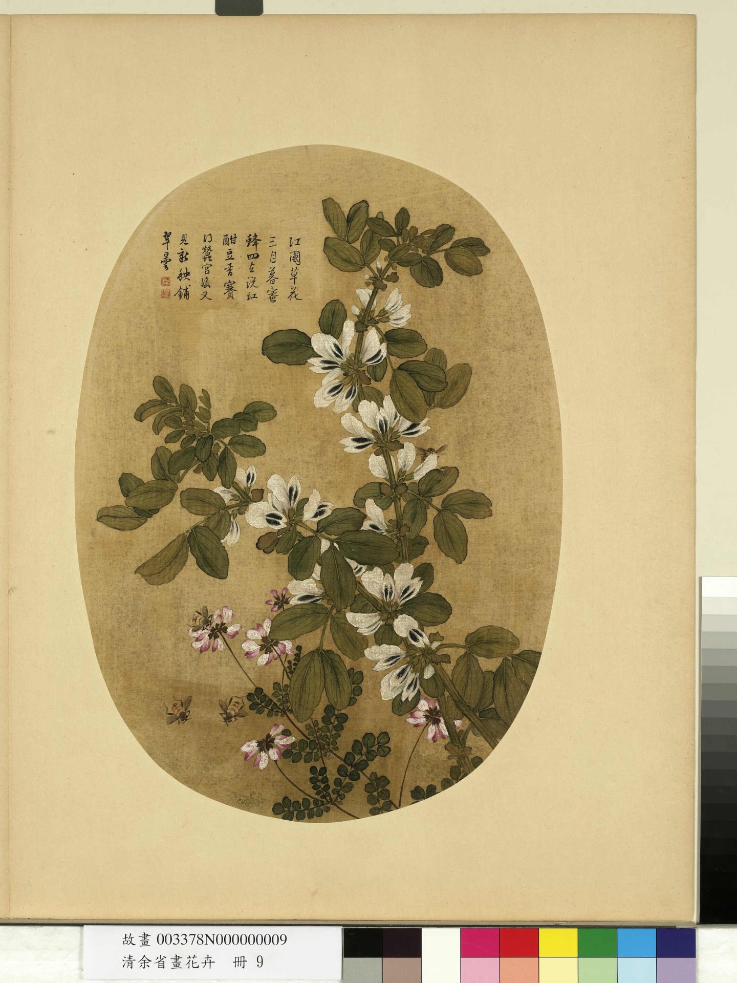 清_余省_花卉册_ (9) 清_余省_花卉册_ (9)