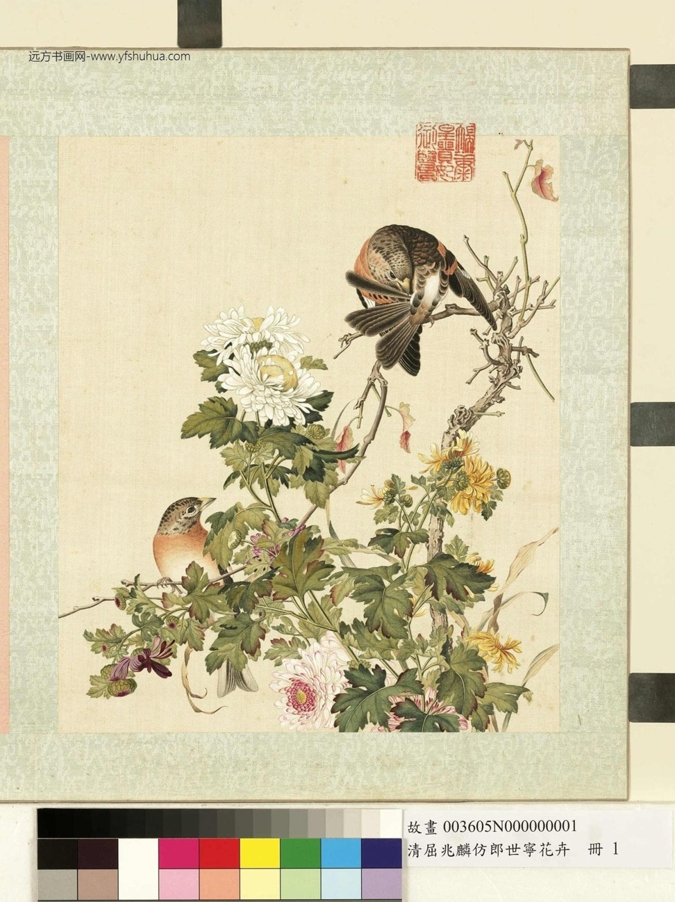 清_屈兆麟_仿郎世宁花卉册图_ (1)