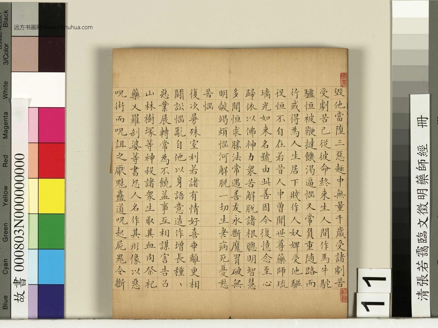 清_张若霭_临文徵明药师经册_11 清_张若霭_临文徵明药师经册_11