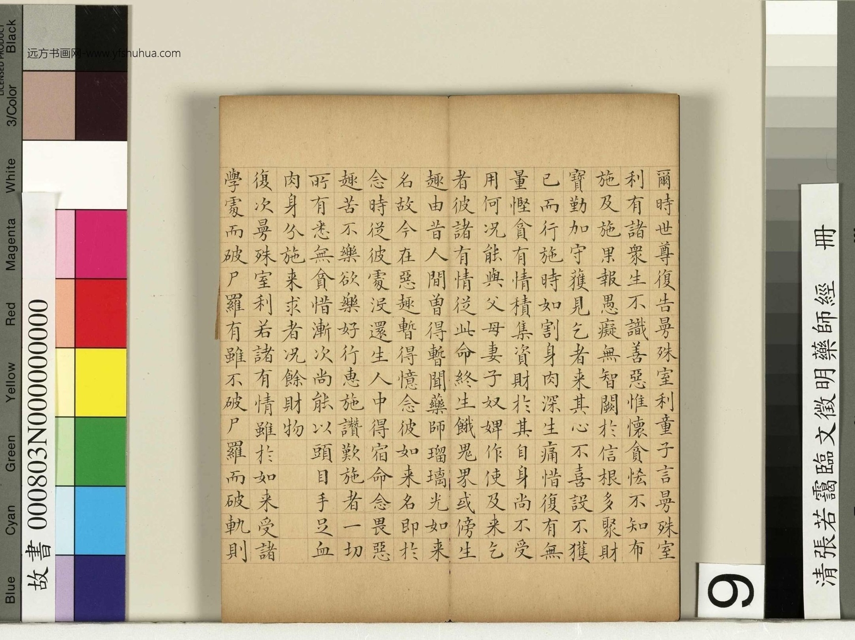 清_张若霭_临文徵明药师经册_9 清_张若霭_临文徵明药师经册_9