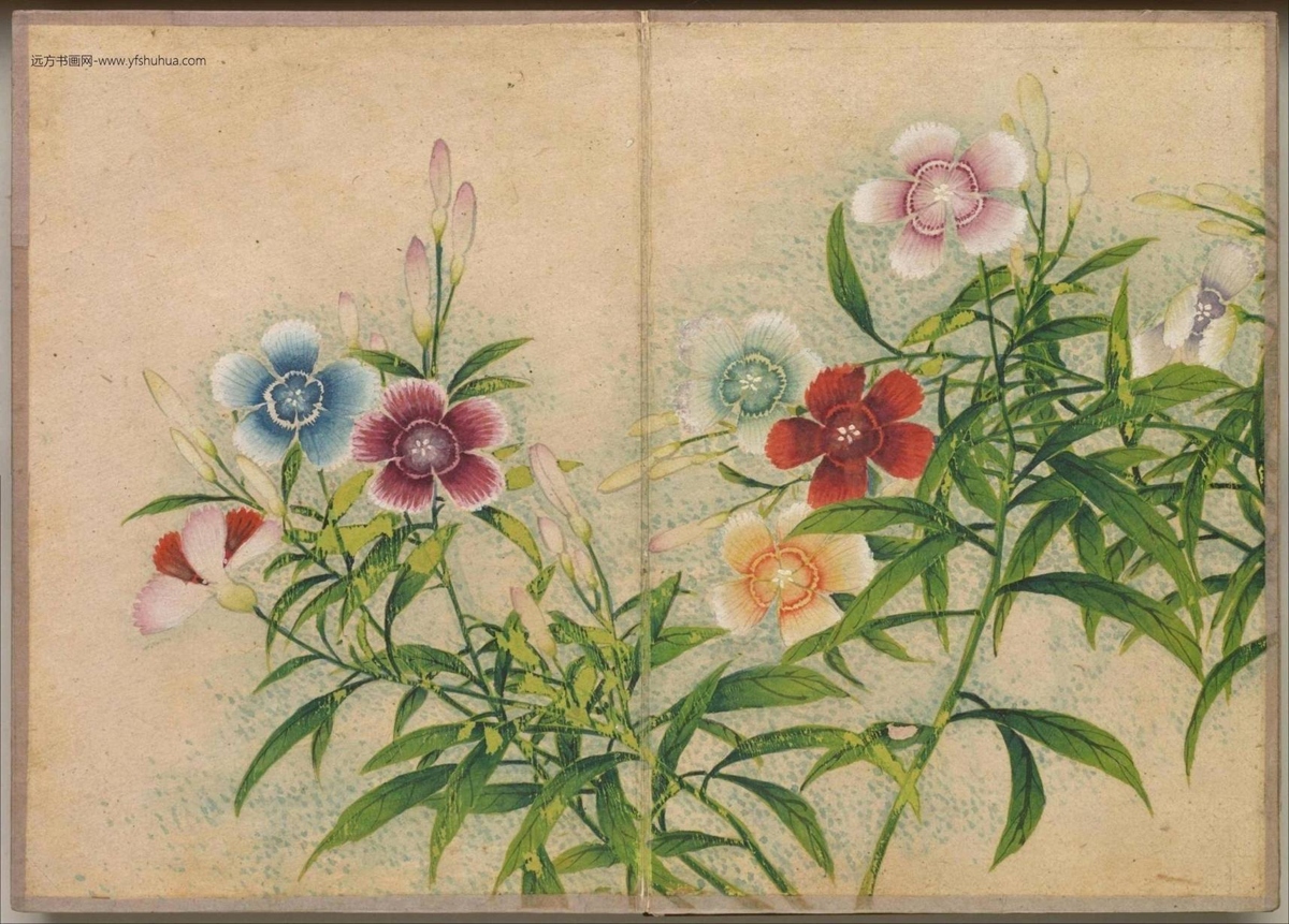 清_张若霭_花鸟册（绚彩写诚）_11