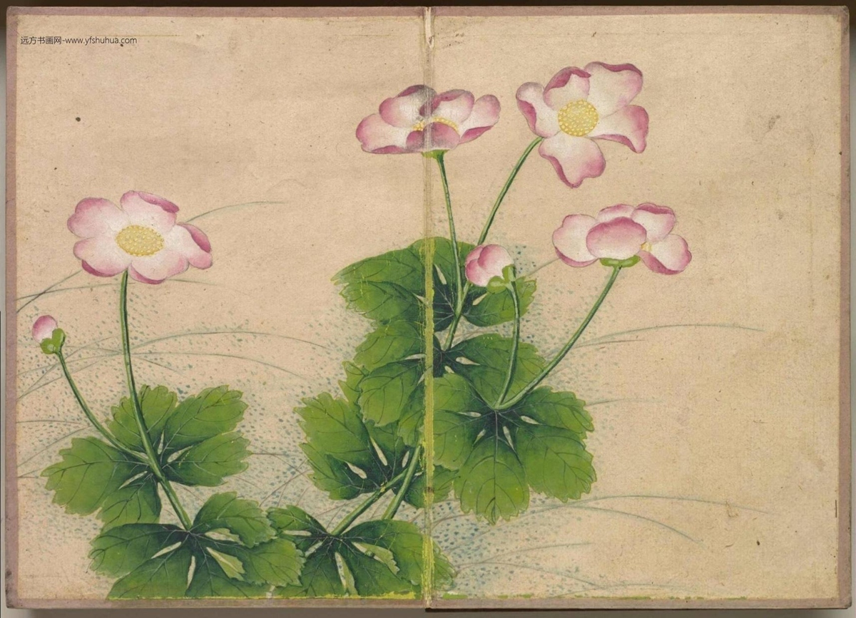 清_张若霭_花鸟册（绚彩写诚）_2