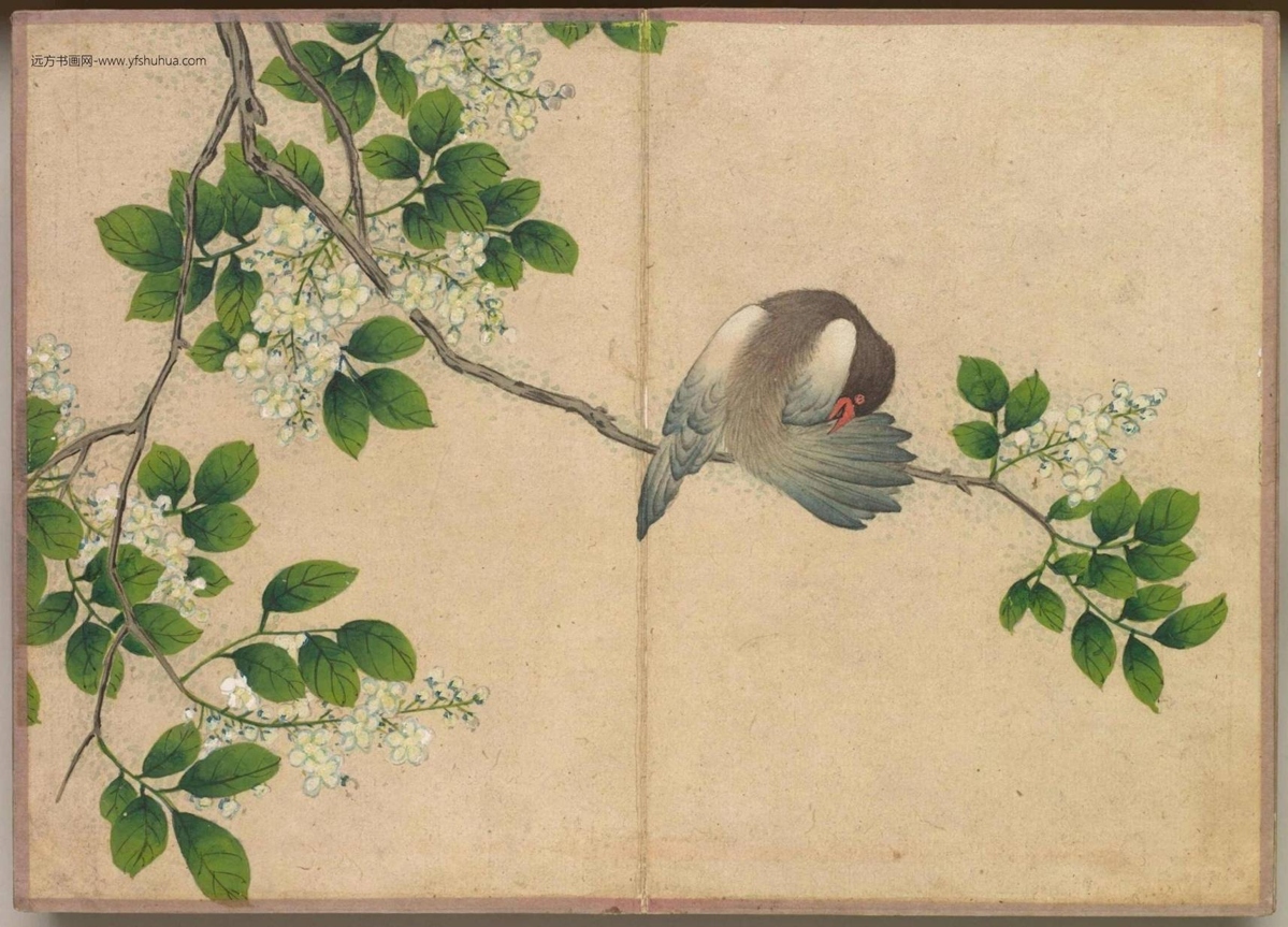 清_张若霭_花鸟册（绚彩写诚）_7