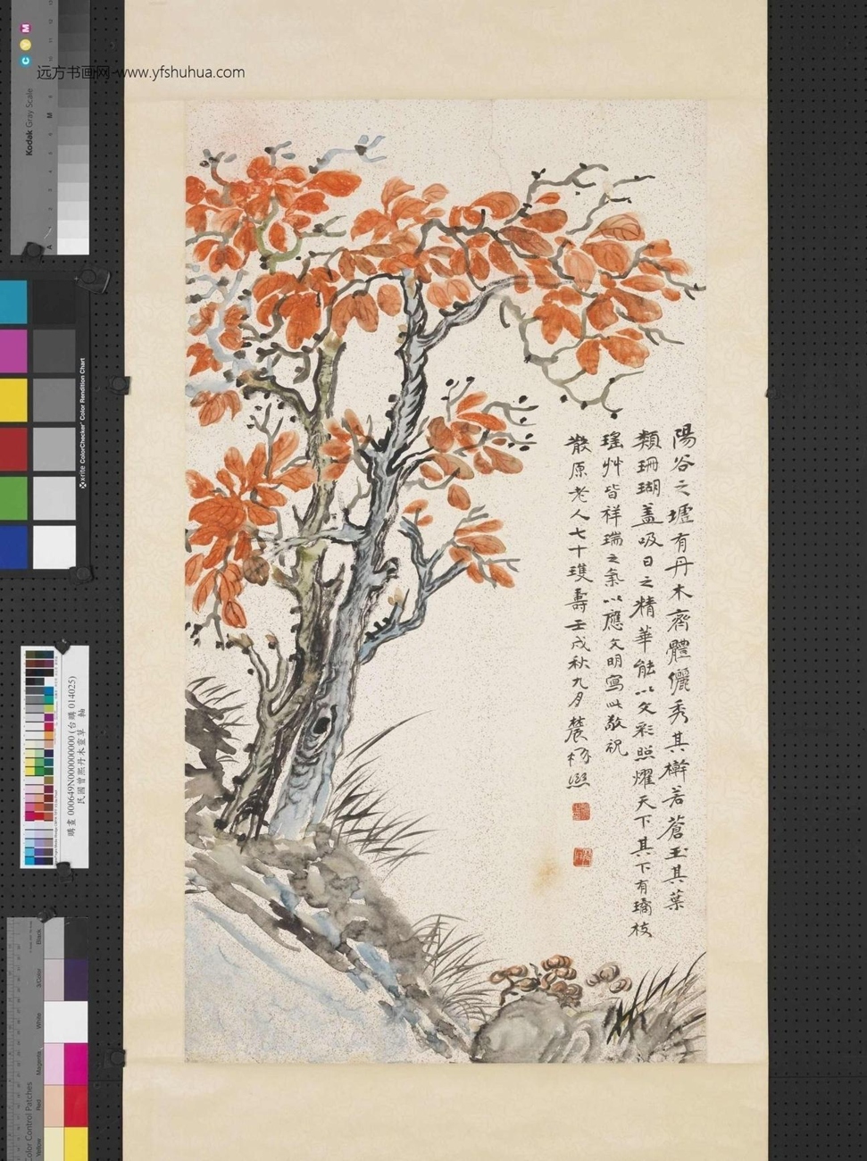 清_曾熙_丹木灵草图