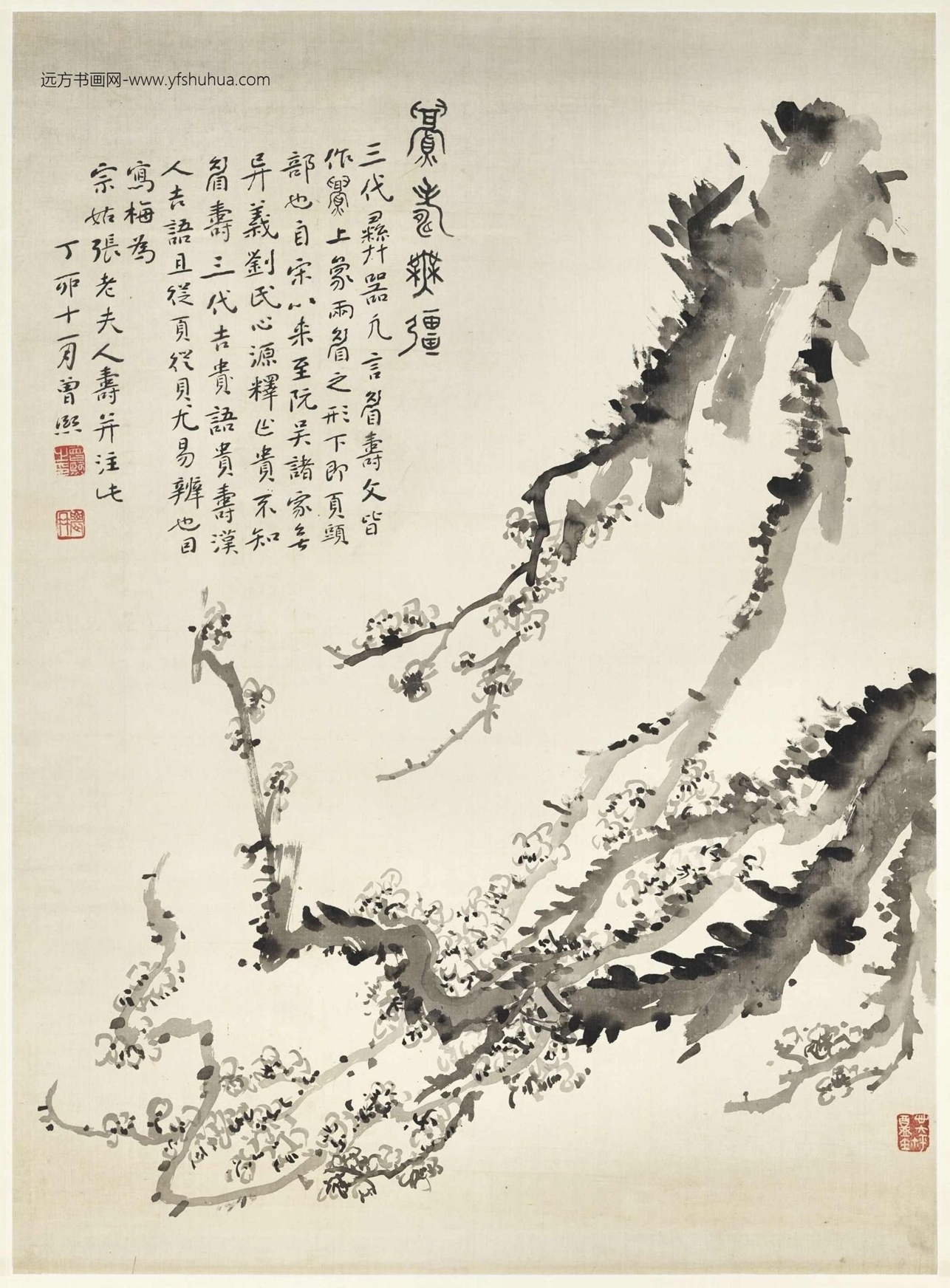 清_曾熙_眉寿无疆图