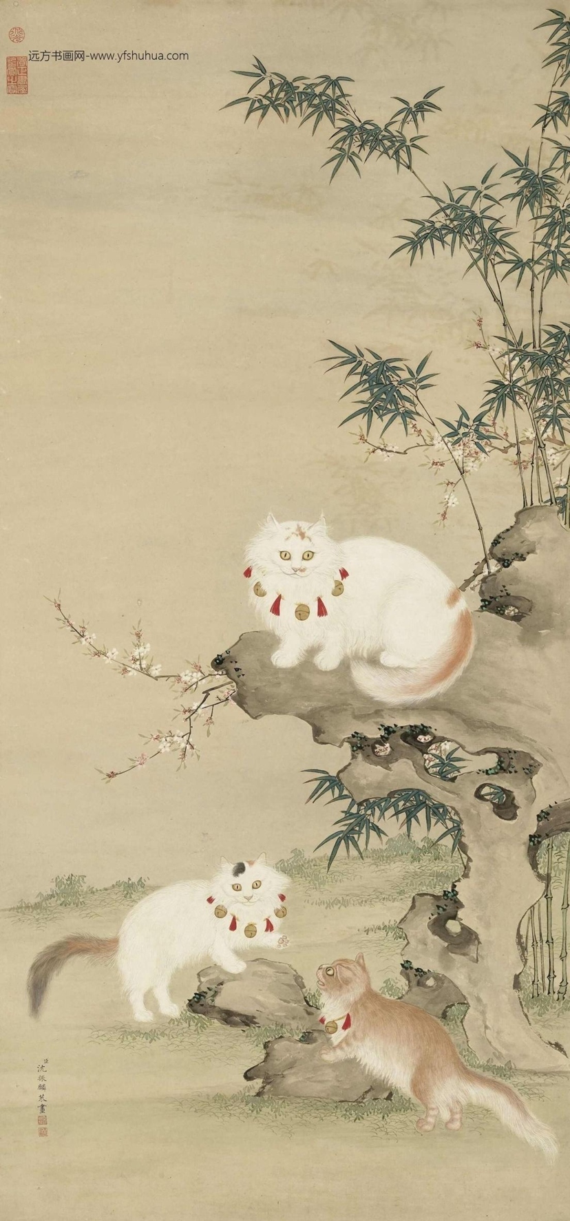 清_沈振麟_猫竹图