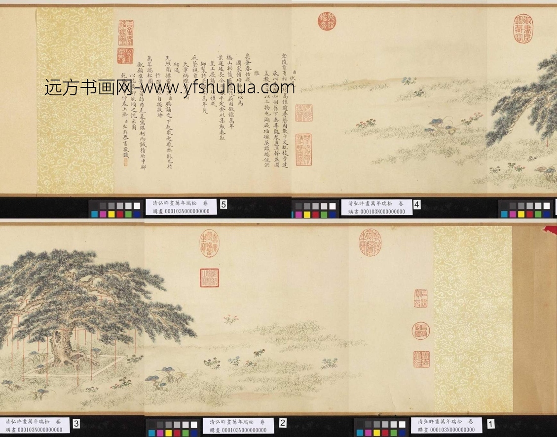 清_爱新觉罗弘旿_弘旿万年瑞松图