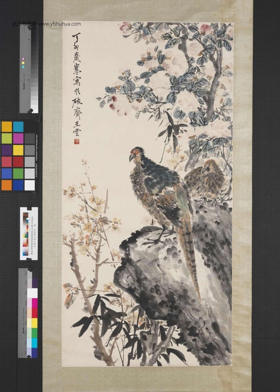 清_王云_山鸡茶花图 清_王云_山鸡茶花图