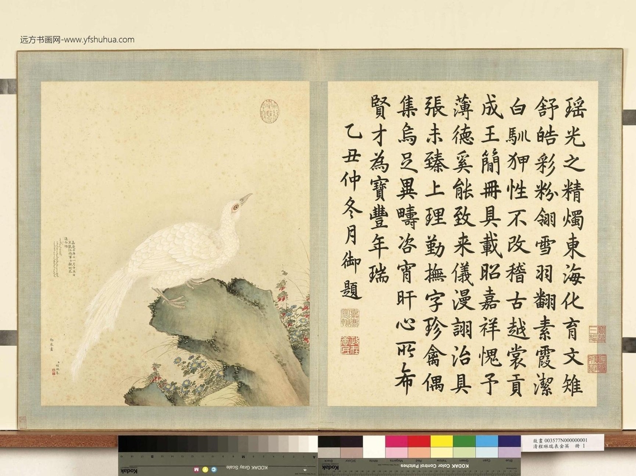 清_程琳_瑞表金英册图_ (1)