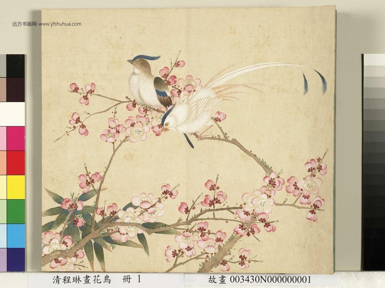 清_程琳_花鸟册图_ (1)