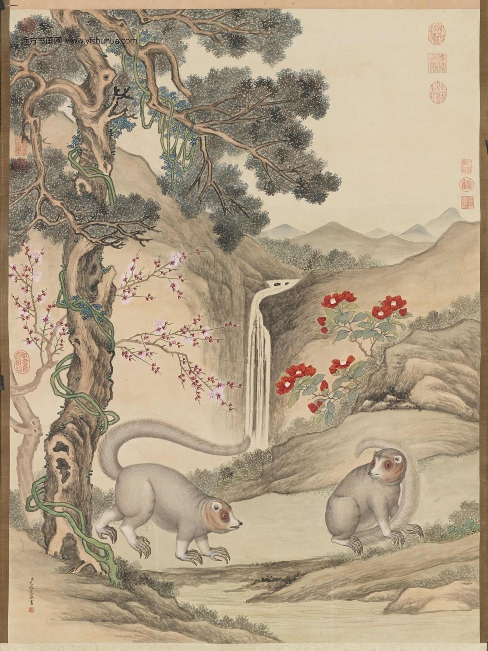 清_艾启蒙_山猫图