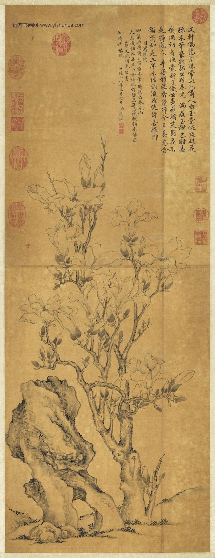 清_蒋溥_摹文徵明玉兰花图