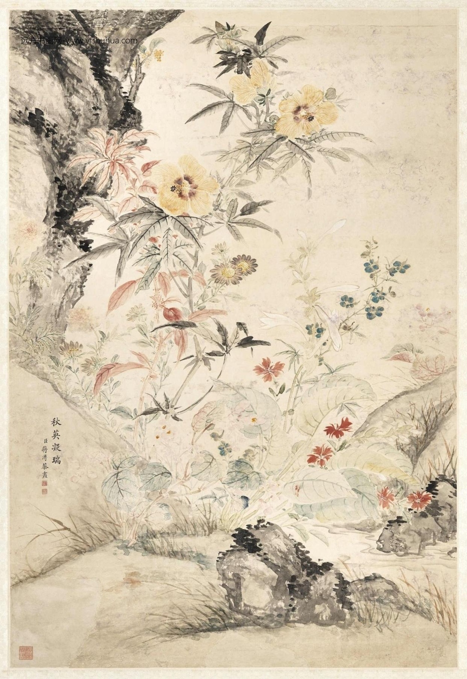 清_蒋溥_秋英凝瑞图