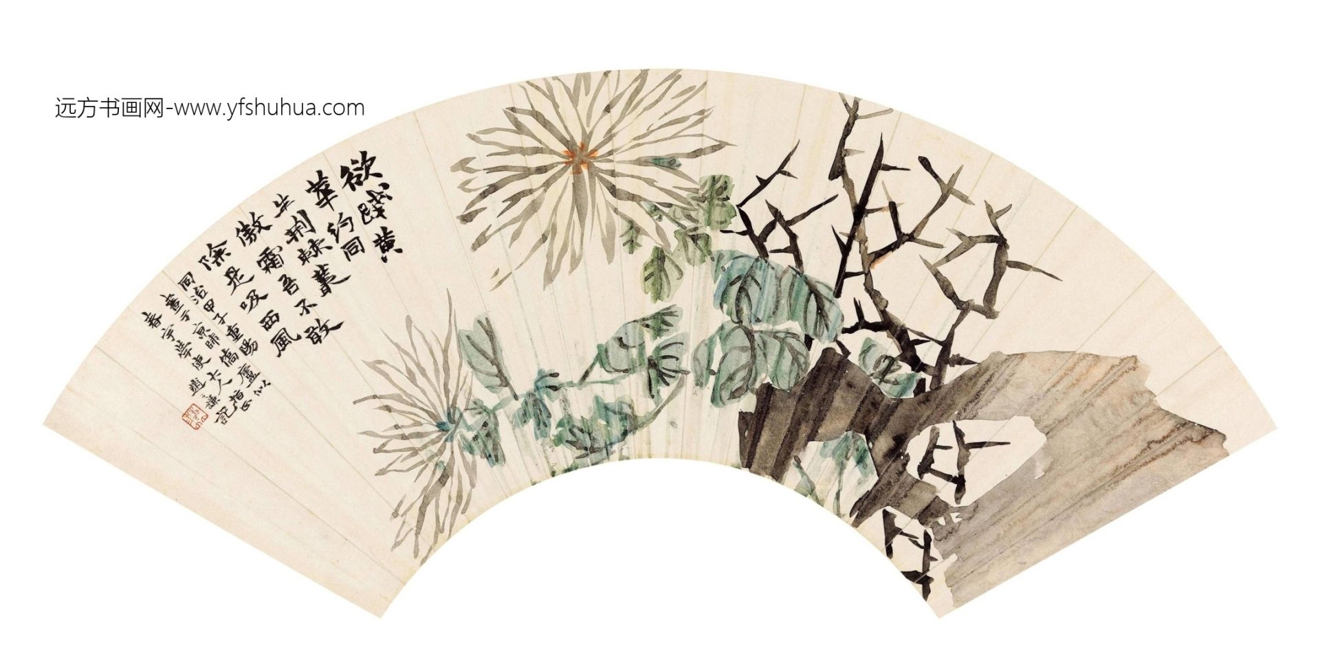 清_赵之谦_菊石图