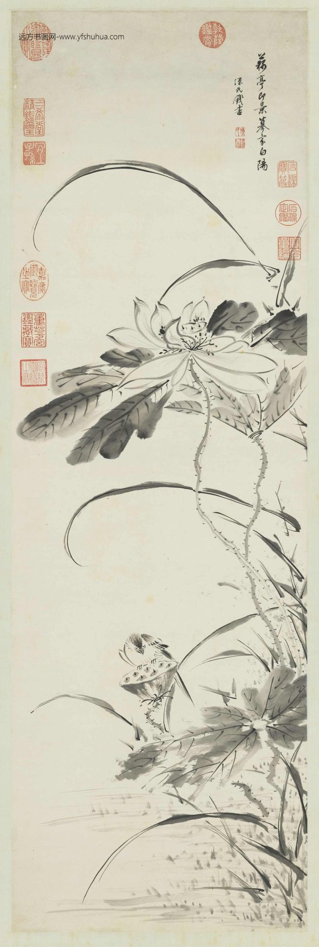 清_陈书_荷花轴