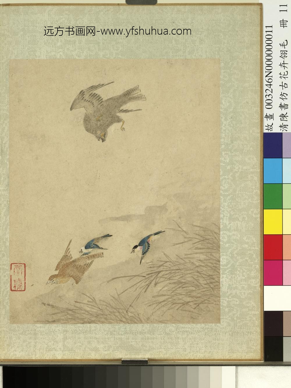 清陈书仿古花卉翎毛册-芦苇翔鹰 清陈书仿古花卉翎毛册-芦苇翔鹰