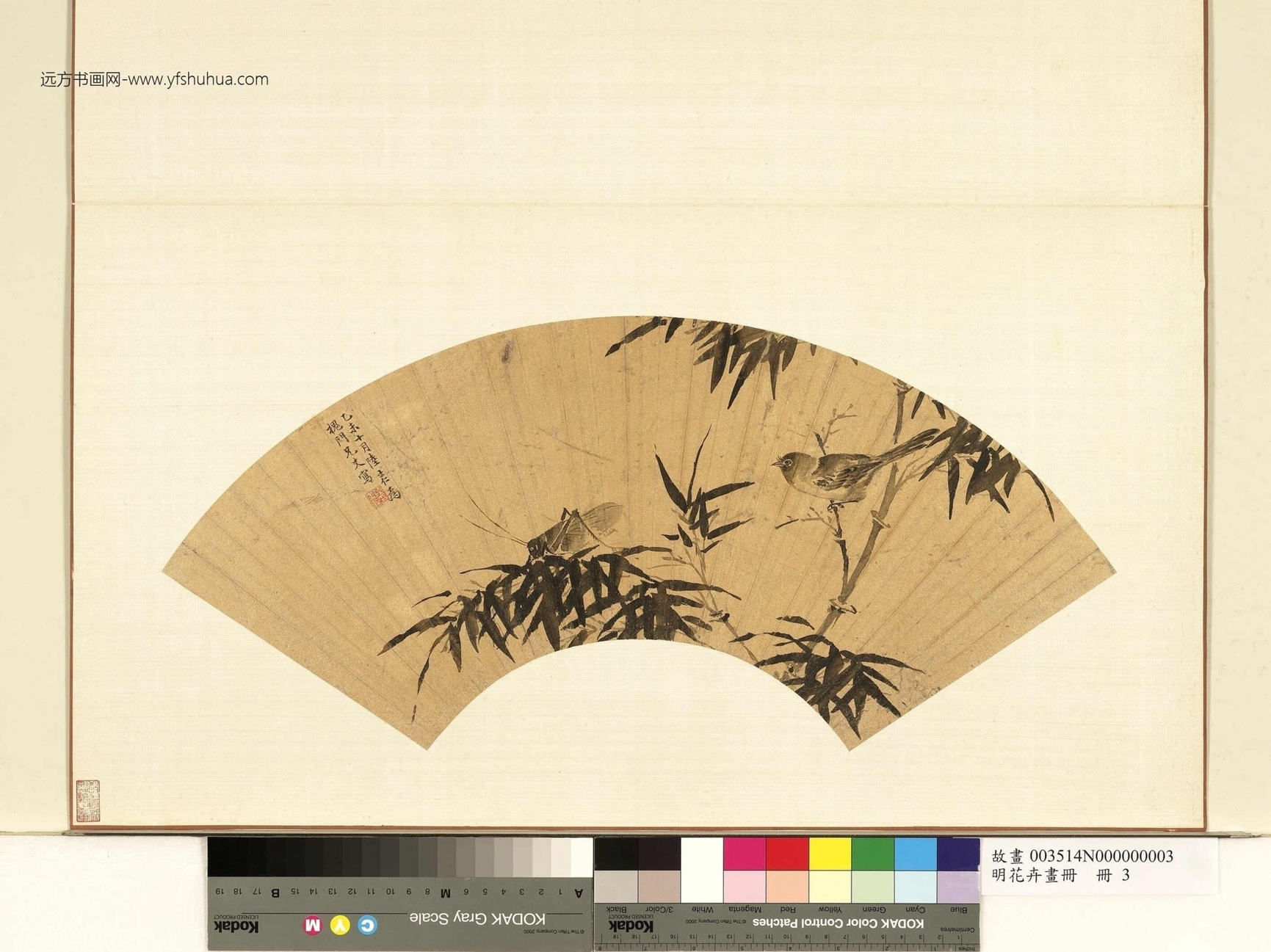 竹雀图-明花卉画册