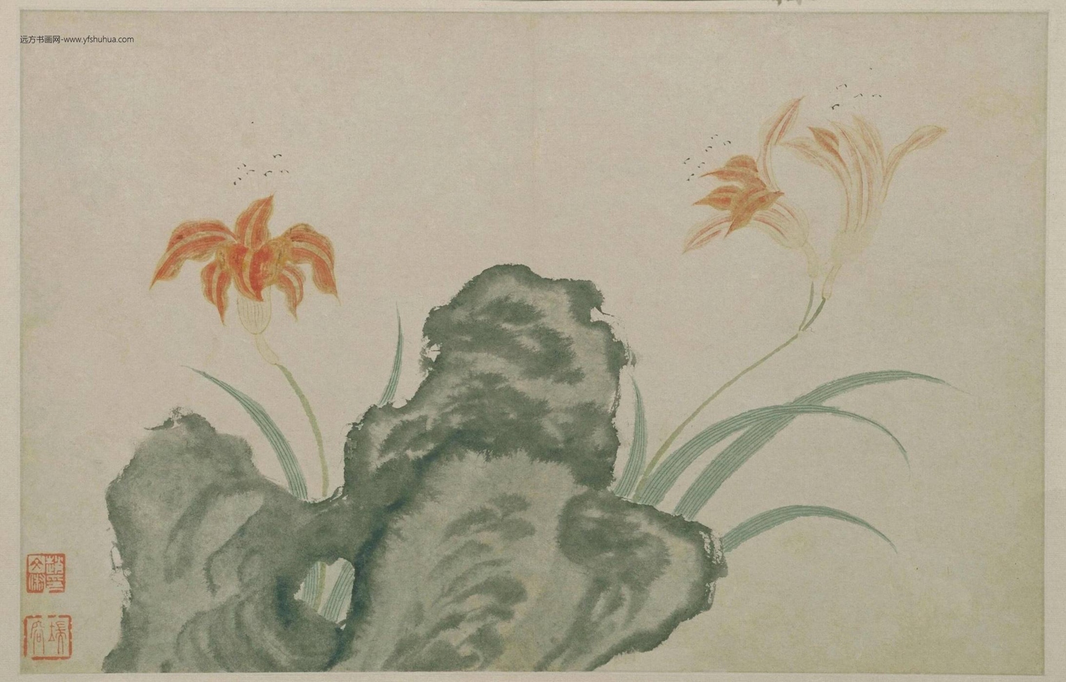 花叶络石花苗盆栽彩叶络石吊兰四季垂吊耐热耐寒植物庭院绿植花卉
