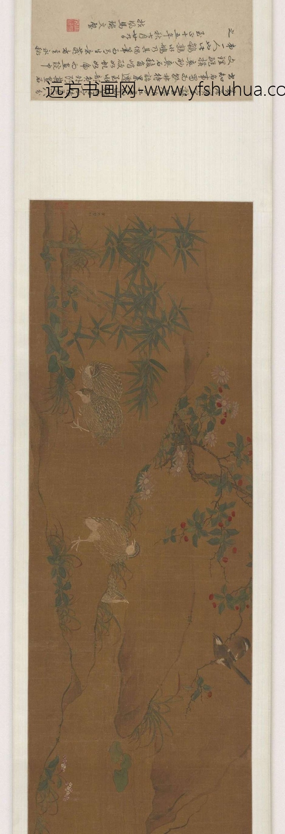黄荃_写生鹌鹑水鸠图卷_1 黄荃_写生鹌鹑水鸠图卷_1