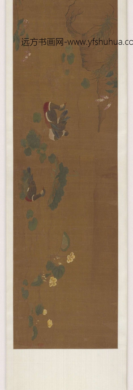 黄荃_写生鹌鹑水鸠图卷_2 黄荃_写生鹌鹑水鸠图卷_2