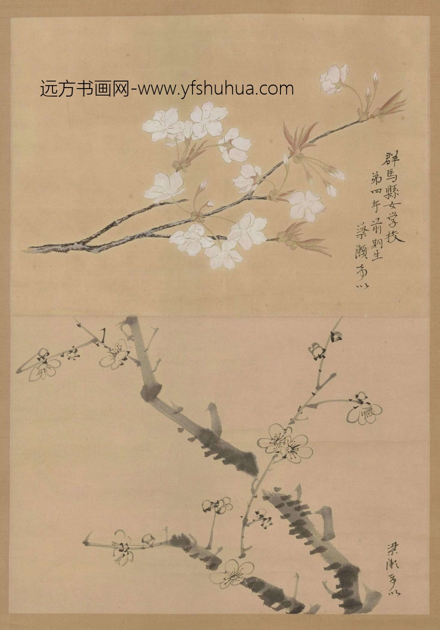 日本_佚名_樱花墨梅图立轴