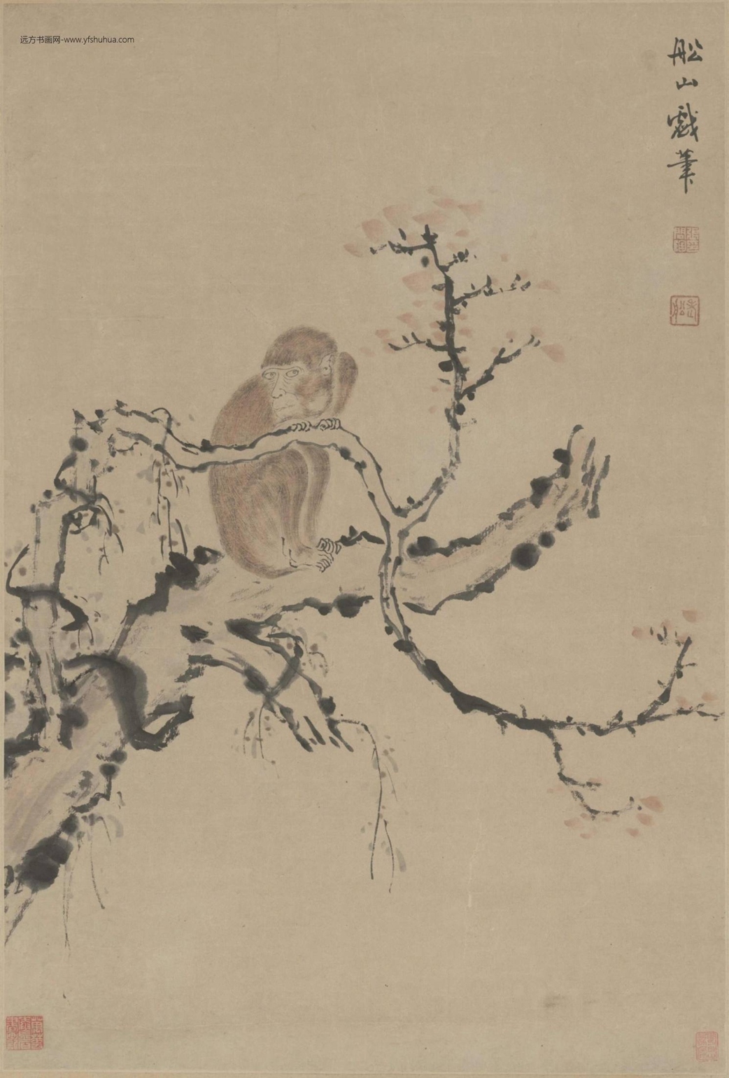 清-张问陶枯木踞猿图轴-新00086278