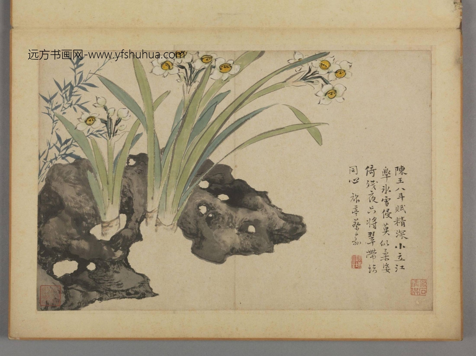 清-蔡嘉花卉图册-新00184230-1-12