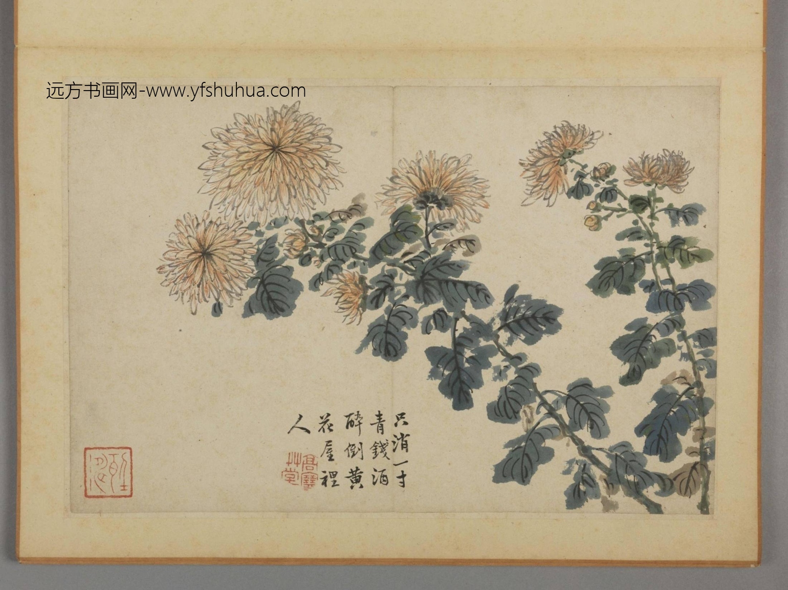 清-蔡嘉花卉图册-新00184230-10-12 清-蔡嘉花卉图册-新00184230-10-12