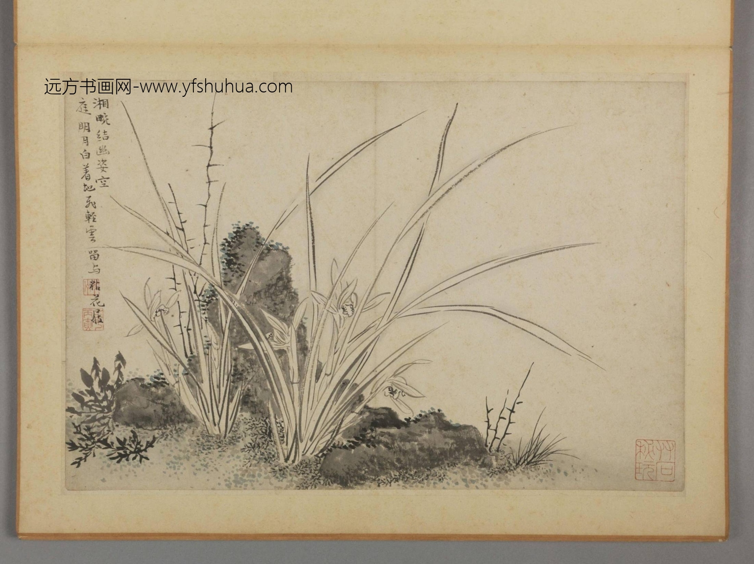 清-蔡嘉花卉图册-新00184230-11-12 清-蔡嘉花卉图册-新00184230-11-12