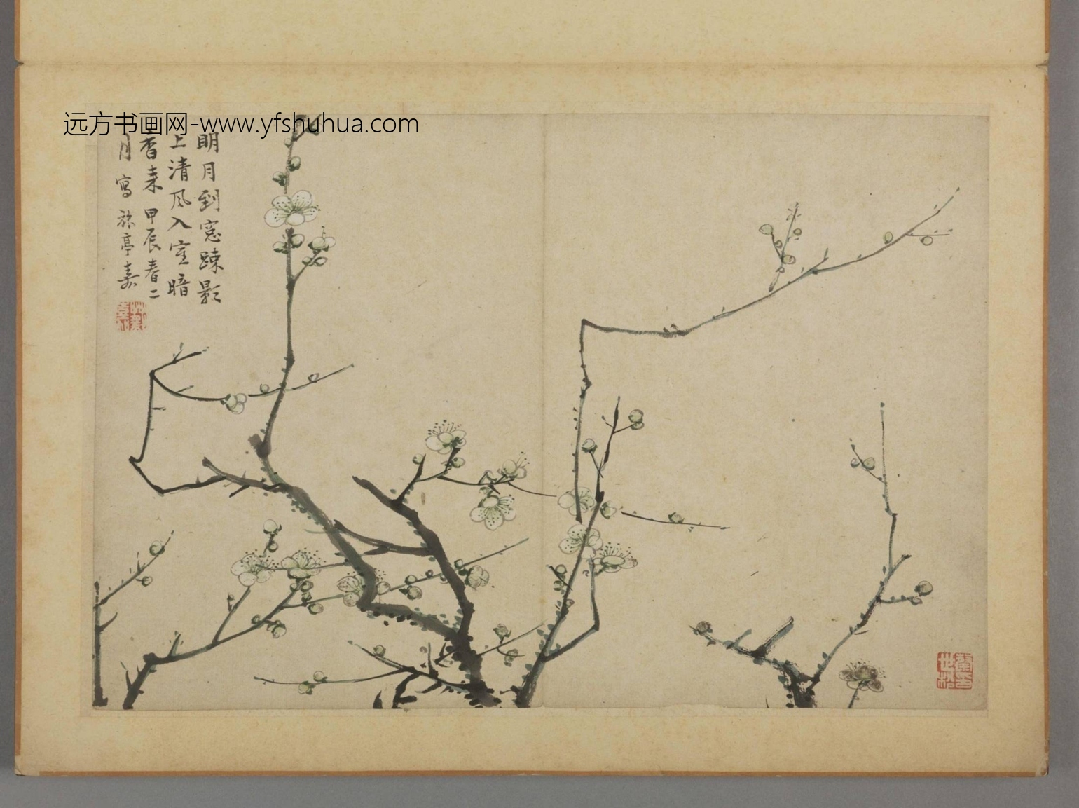 清-蔡嘉花卉图册-新00184230-12-12 清-蔡嘉花卉图册-新00184230-12-12