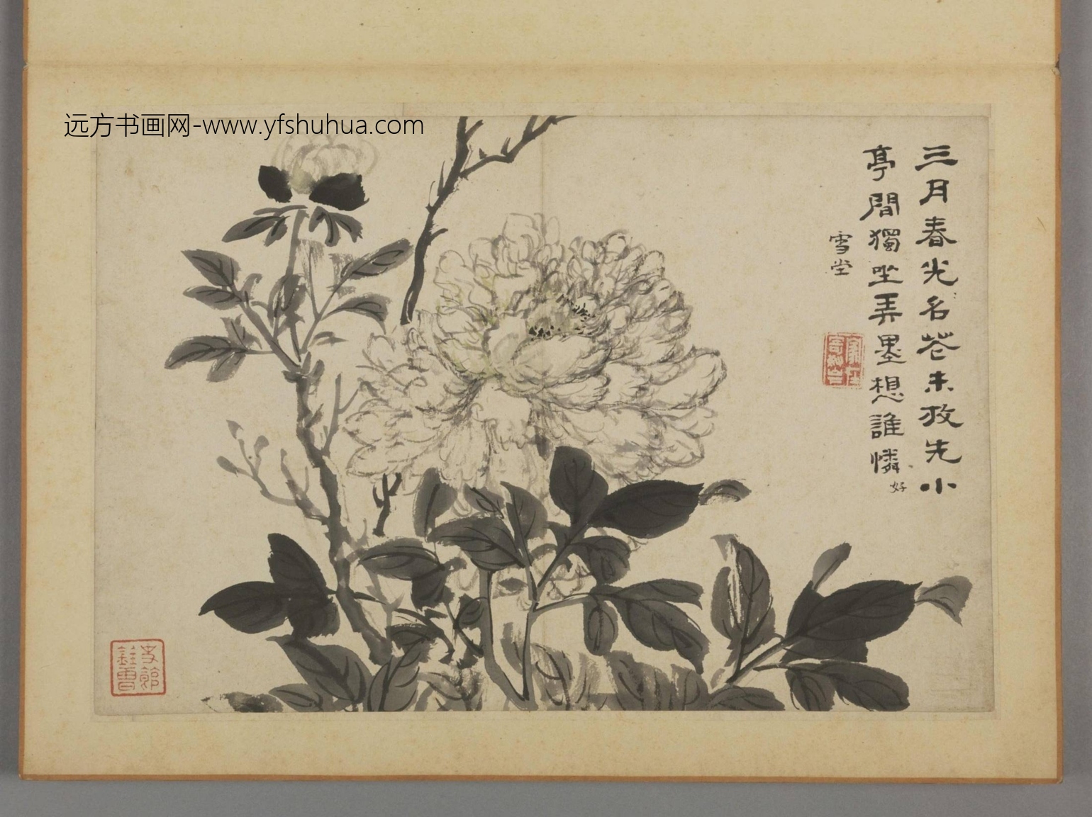 清-蔡嘉花卉图册-新00184230-2-12 清-蔡嘉花卉图册-新00184230-2-12