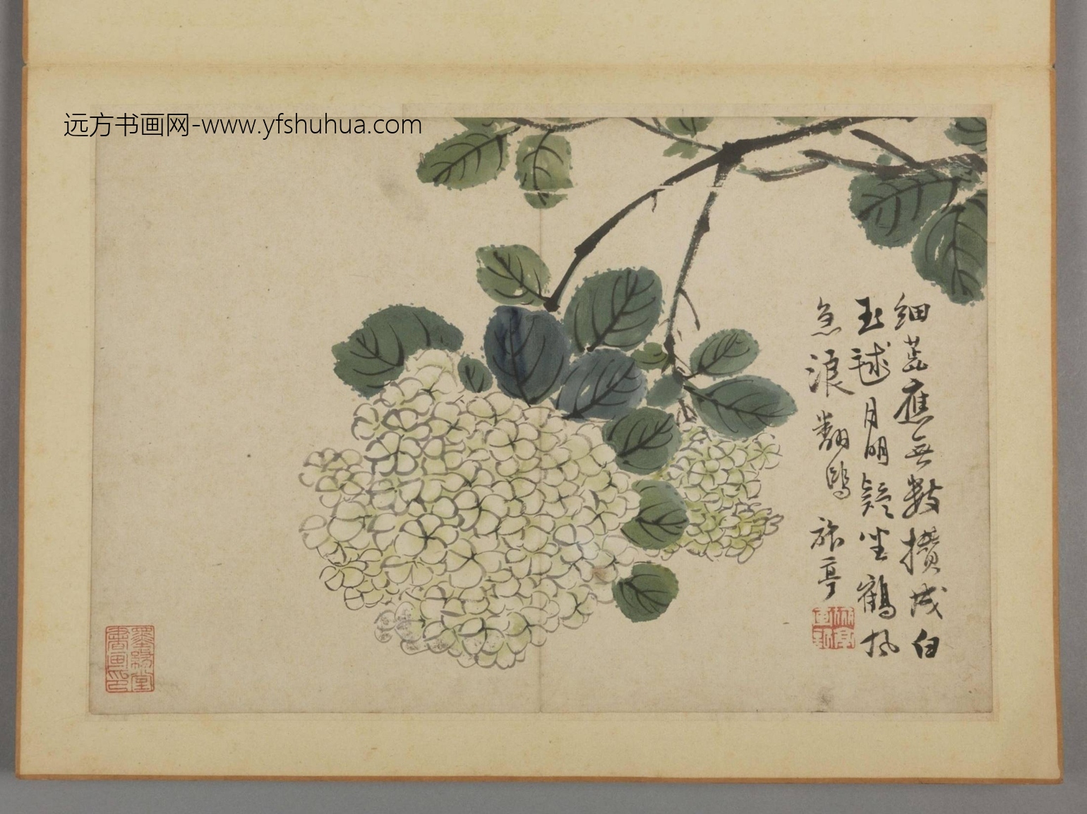 清-蔡嘉花卉图册-新00184230-3-12 清-蔡嘉花卉图册-新00184230-3-12