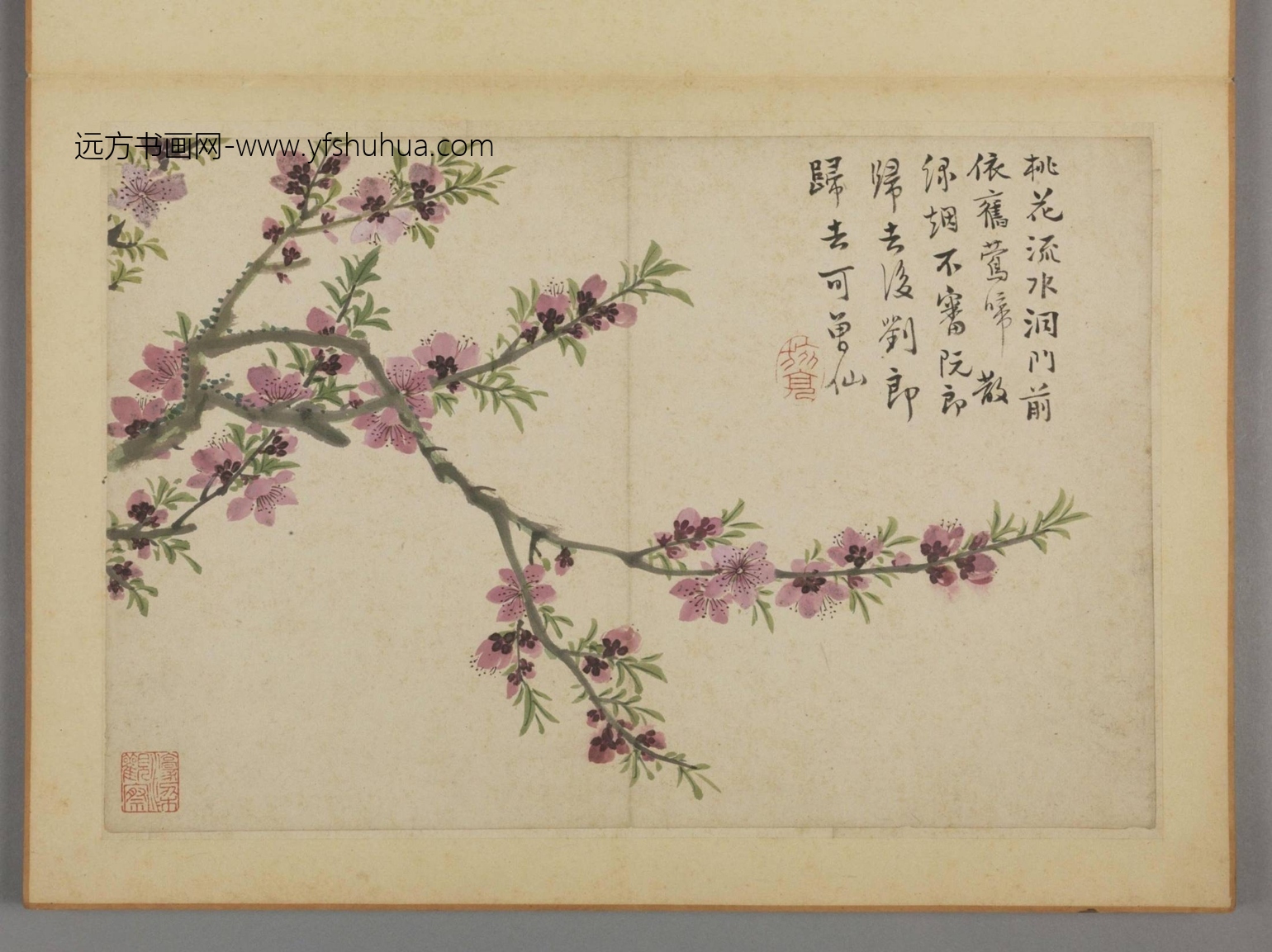 清-蔡嘉花卉图册-新00184230-4-12 清-蔡嘉花卉图册-新00184230-4-12