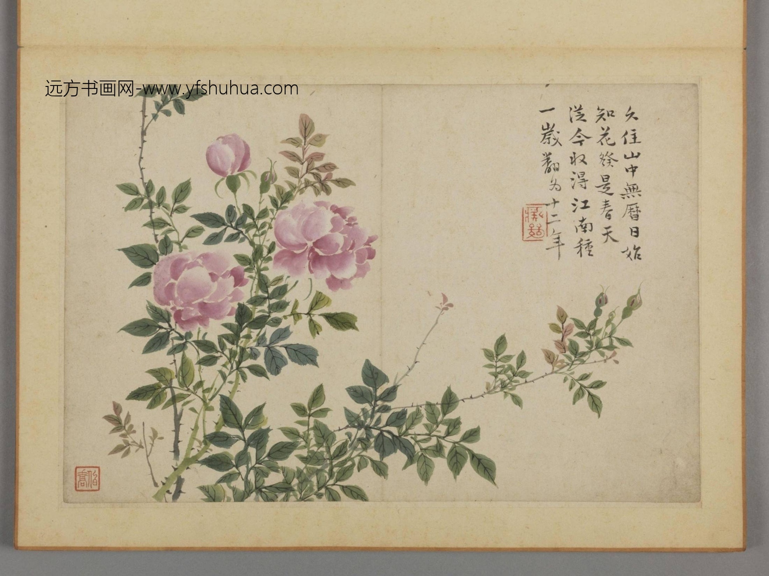 清-蔡嘉花卉图册-新00184230-6-12 清-蔡嘉花卉图册-新00184230-6-12