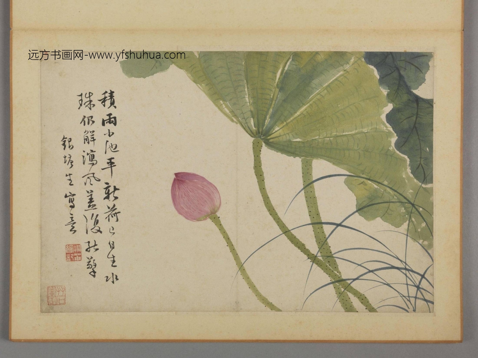 清-蔡嘉花卉图册-新00184230-7-12 清-蔡嘉花卉图册-新00184230-7-12