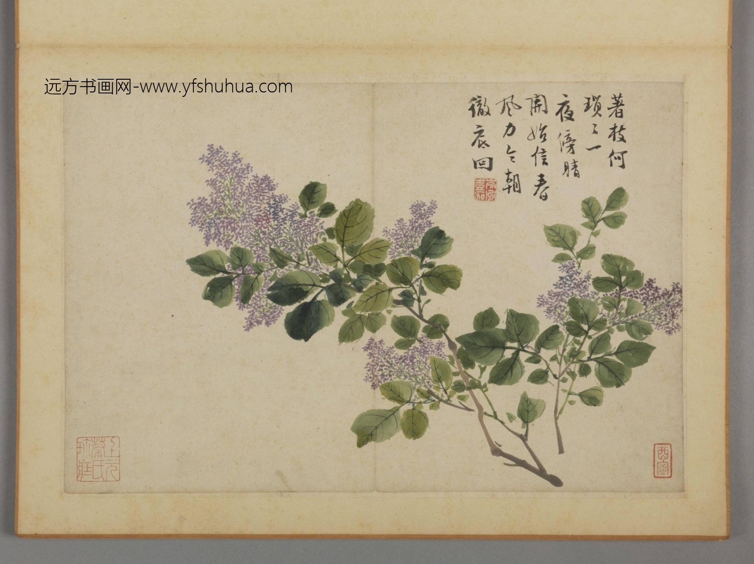 清-蔡嘉花卉图册-新00184230-8-12 清-蔡嘉花卉图册-新00184230-8-12
