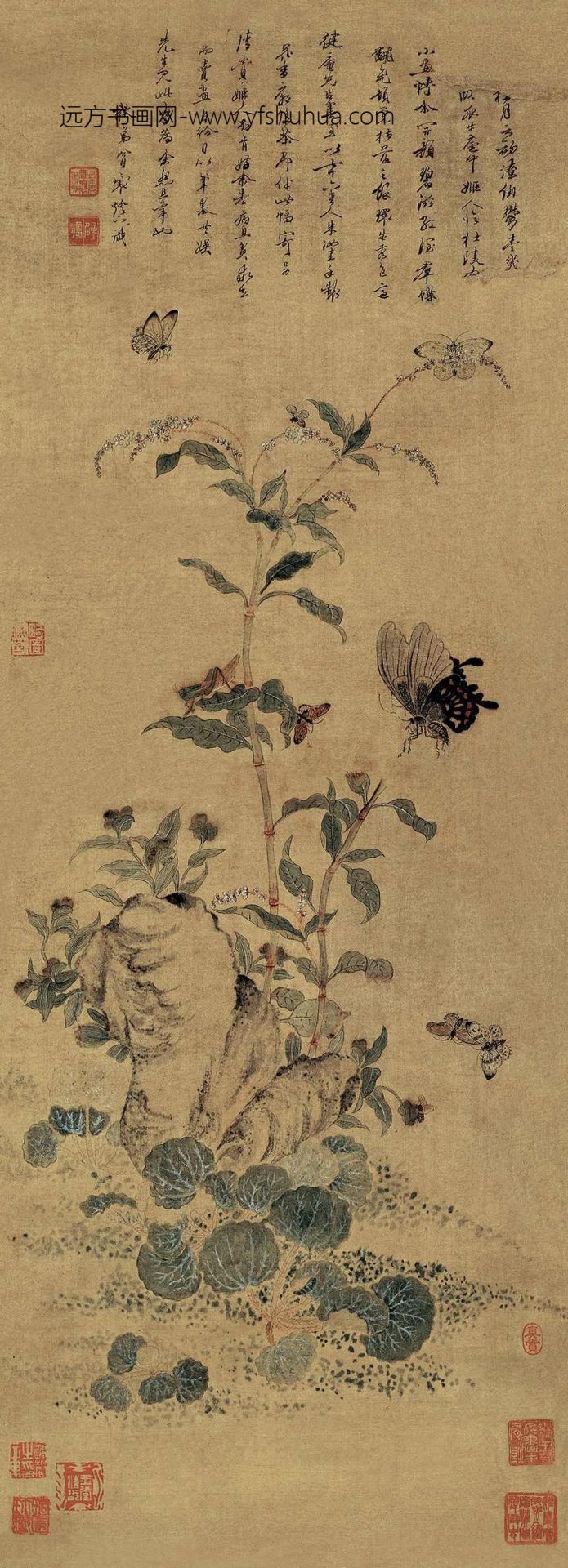 清_冒襄_花蝴蝶图