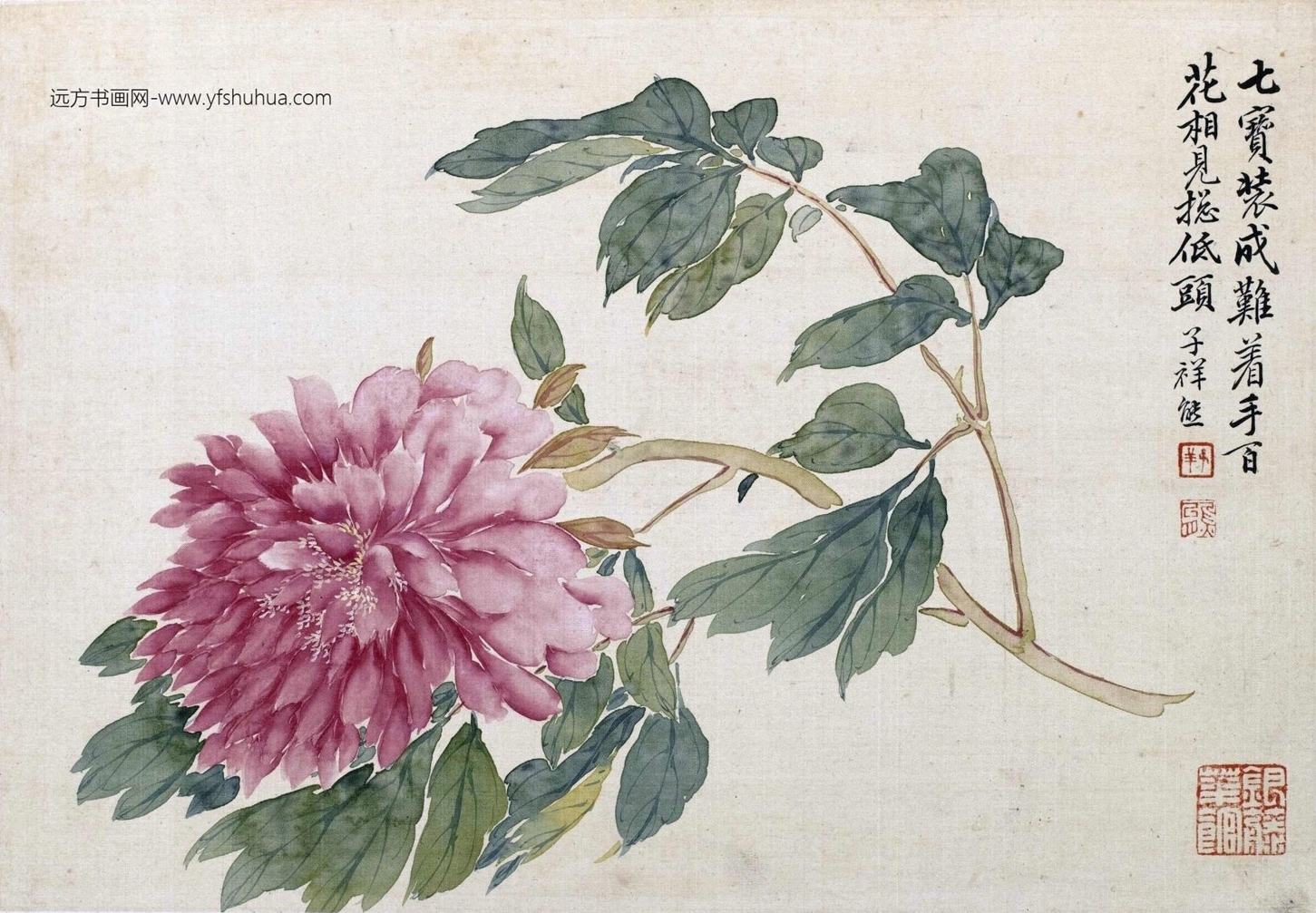 清_张熊_花卉册-画册_1