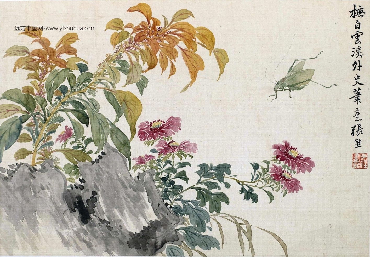 清_张熊_花卉册-画册_11 清_张熊_花卉册-画册_11
