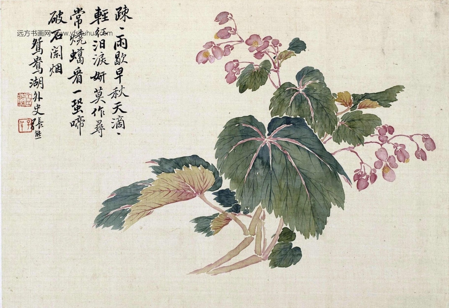 清_张熊_花卉册-画册_12 清_张熊_花卉册-画册_12