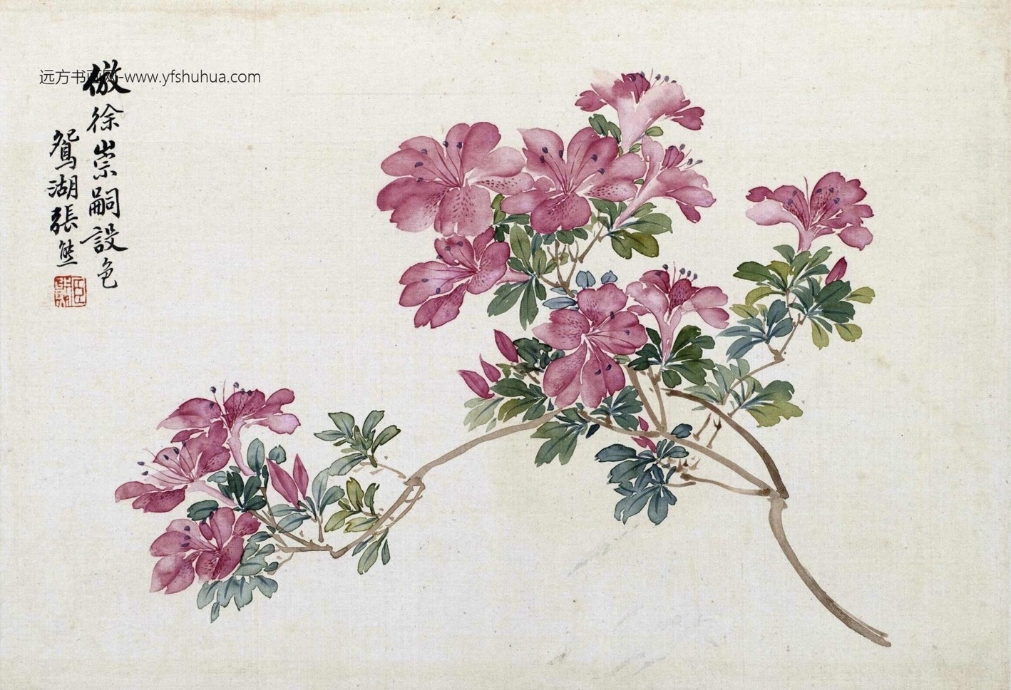 清_张熊_花卉册-画册_2 清_张熊_花卉册-画册_2