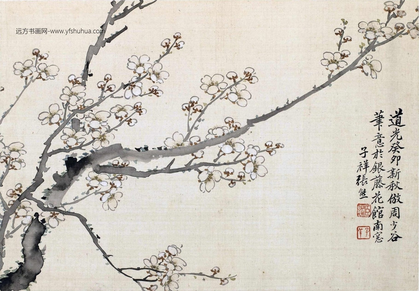 清_张熊_花卉册-画册_4 清_张熊_花卉册-画册_4